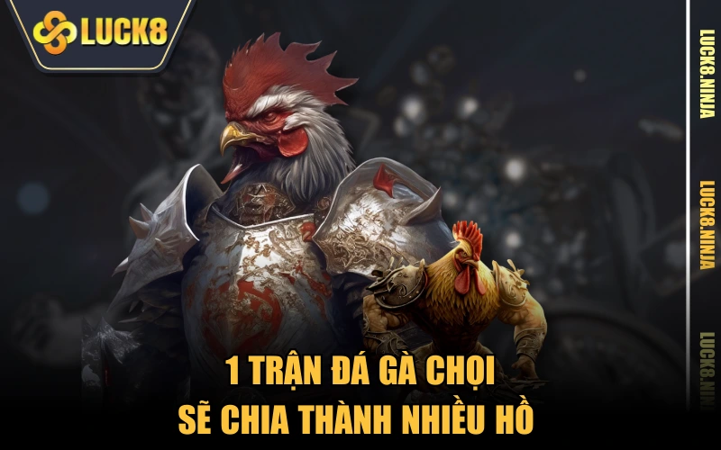 Đá Gà Chọi Truyền Thống - Tất Tần Tật Các Thông Tin 3 1 trận đá gà chọi sẽ chia thành nhiều hồ