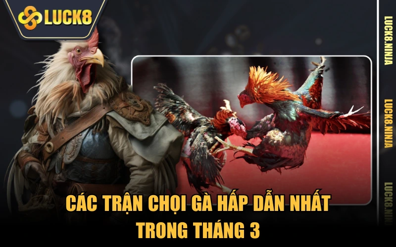 Đá Gà SV388 - Phát Sóng Trực Tiếp Các Trận Đối Đầu Nảy Lửa 5 Các trận chọi gà hấp dẫn nhất trong tháng 3