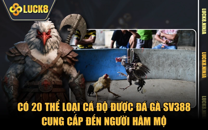 Đá Gà SV388 - Phát Sóng Trực Tiếp Các Trận Đối Đầu Nảy Lửa 4 Có 20 thể loại cá độ được đá gà SV388 cung cấp đến người hâm mộ