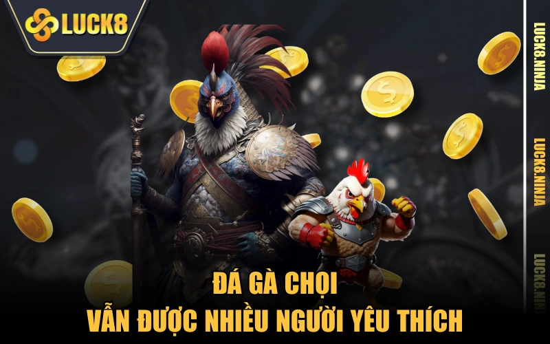Đá Gà Chọi Truyền Thống - Tất Tần Tật Các Thông Tin 2 Đá gà chọi vẫn được nhiều người yêu thích