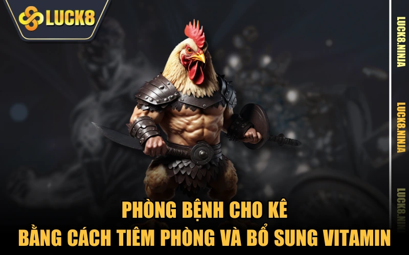 Gà Tre Nòi - Các Thông Tin Cần Biết Về Giống Kê Tốt 5 Phòng bệnh cho kê bằng cách tiêm phòng và bổ sung vitamin